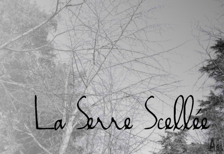 Bannière du site : La Serre Scellée